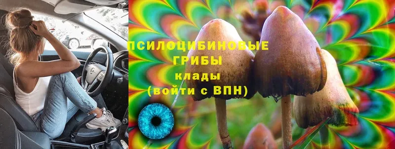 ссылка на мегу как зайти  Верхняя Тура  Псилоцибиновые грибы MAGIC MUSHROOMS 